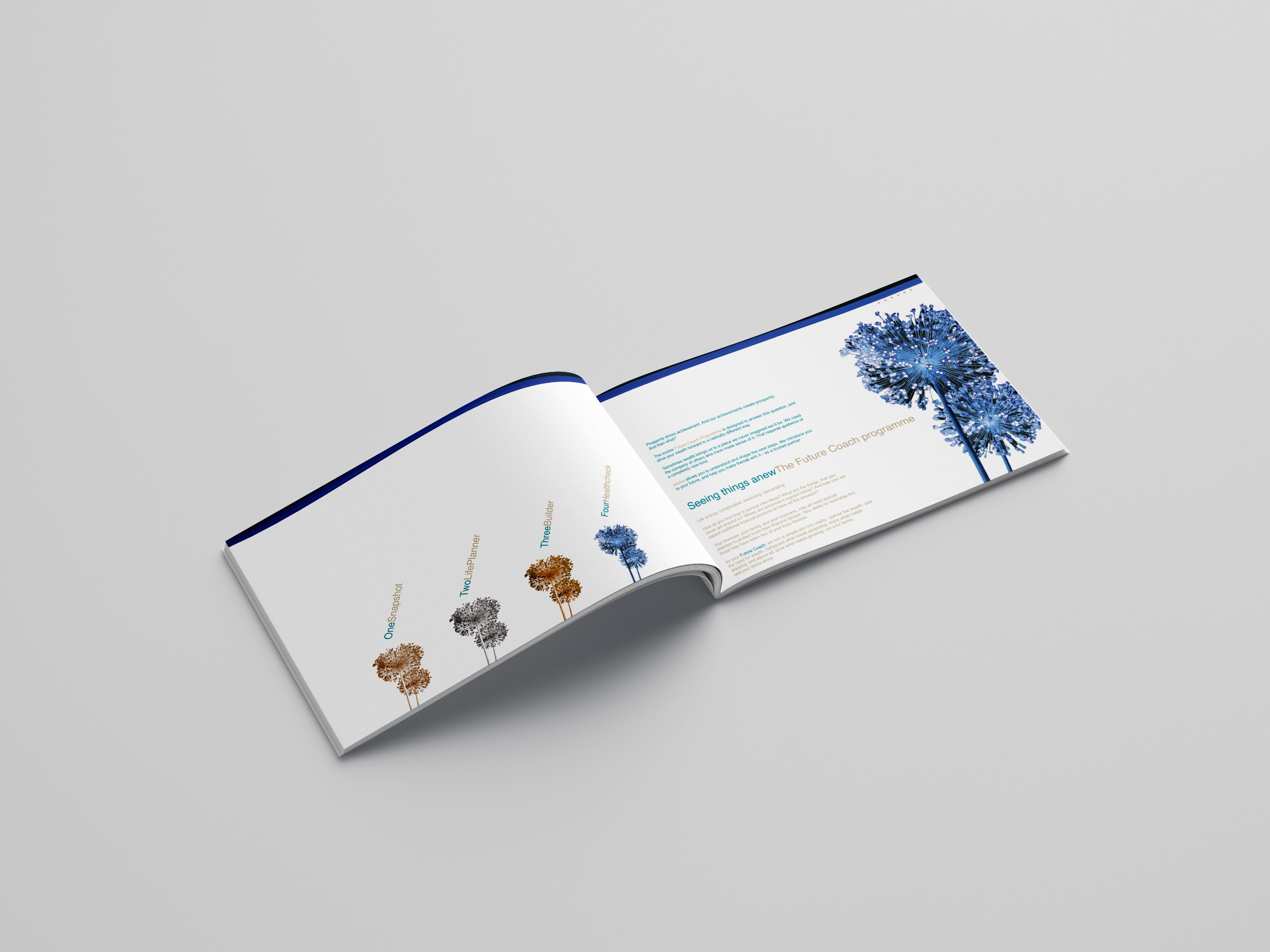 Free_Landscape_Brochure_Mockup_01