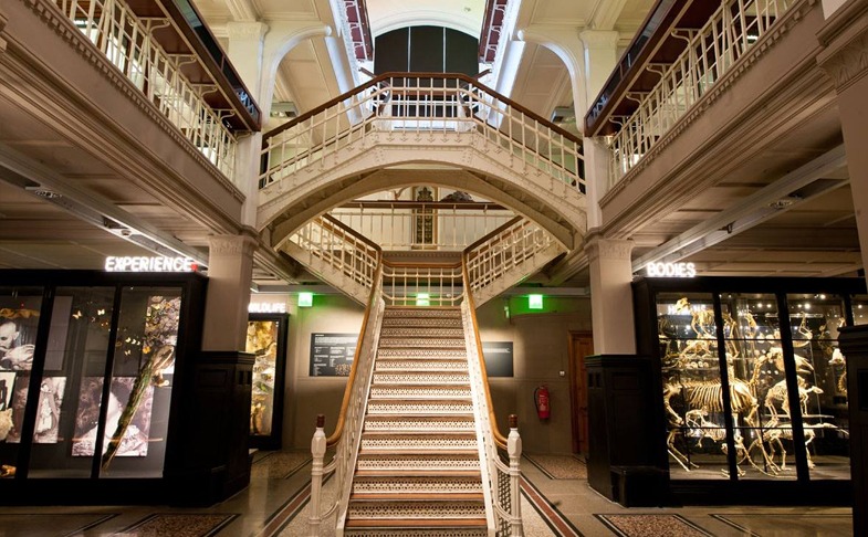 Manchester-Museum