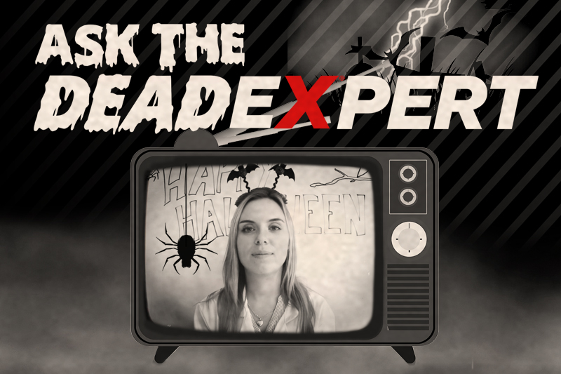 Ask the REDEXPERT